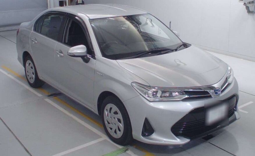 TOYOTA AXIO G 2019