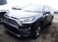 TOYOTA RAV4 G 2019