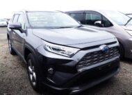 TOYOTA RAV4 G 2019