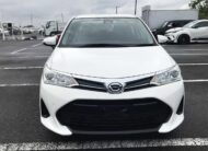 TOYOTA AXIO G 2019 WHITE