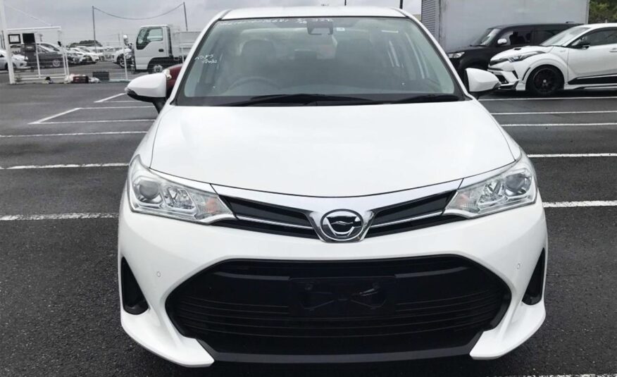 TOYOTA AXIO G 2019 WHITE